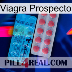 Prospecto Viagra new14